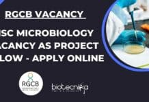 RGCB MSc Microbiology Project Fellow Job Opening – Apply Online RGCB MSc Microbiology Project Fellow Job Opening - Apply Online