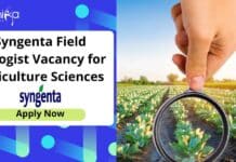 Syngenta Field Biologist Job Opening – Apply Now Syngenta Field Biologist Job Opening - Apply Now