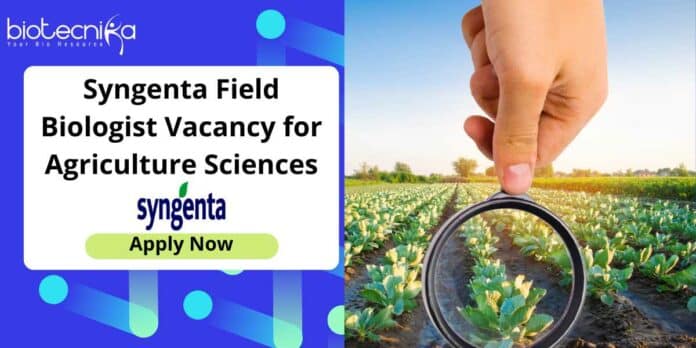 Syngenta Field Biologist Job Opening - Apply Now