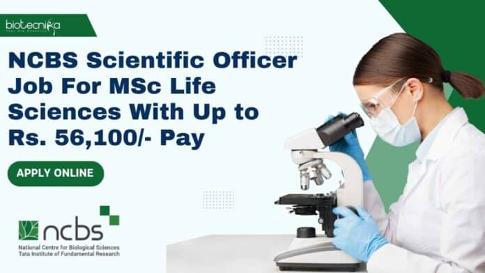 NCBS Scientific Officer Job