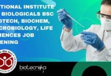 National Institute of Biologicals BSc Biotech, Biochem, Microbiology, Life Sciences Job Opening NIB BSc Biotech