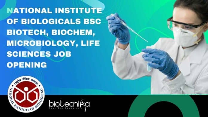 NIB BSc Biotech