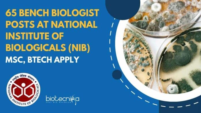 NIB Bench Biologists Vacancies