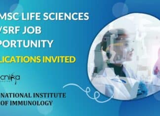NII MSc Research Jobs