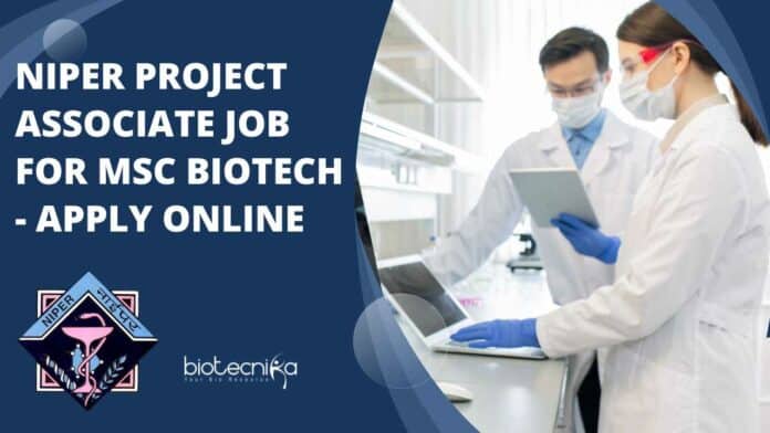 NIPER Project Associate Job