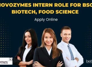 Novozymes Intern BSc Biotech