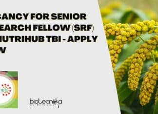 Nutrihub TBI SRF Job