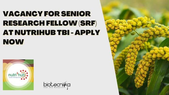 Nutrihub TBI SRF Job