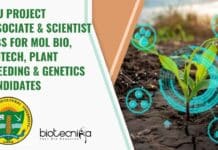 PAU Project Associate & Scientist Jobs For Mol Bio, Biotech, Plant Breeding & Genetics Candidates PAU Project Associate
