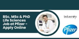 Pfizer Life Science Vacancy
