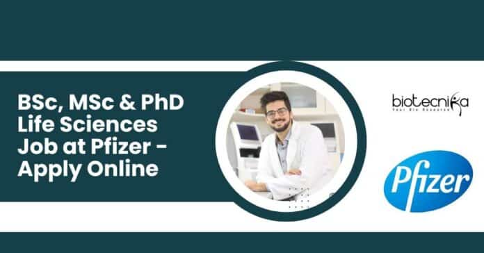 Pfizer Life Science Vacancy