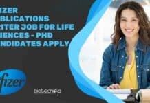 Pfizer Publications Writer Job