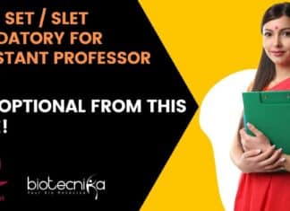 PhD Not Mandatory For