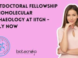 Postdoctoral Fellowship at IITGN