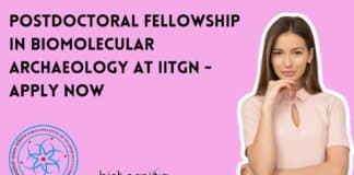 Postdoctoral Fellowship at IITGN