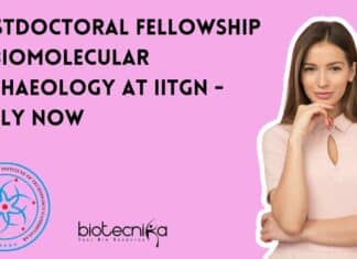 Postdoctoral Fellowship at IITGN