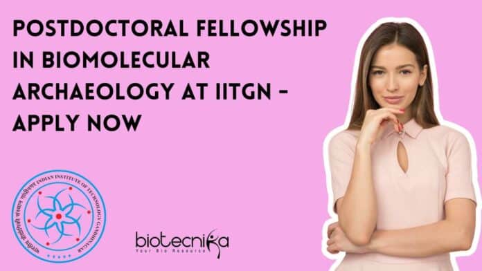 Postdoctoral Fellowship at IITGN
