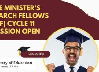 Prime Minister's Research Fellows