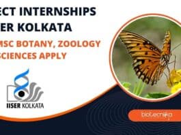 Project Internships at IISER Kolkata