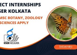 Project Internships at IISER Kolkata