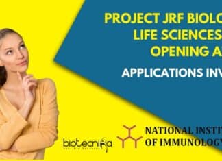 Project JRF NII Opening