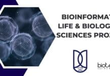 JNU Bioinformatics, Life & Biological Sciences Project Job – Applications Invited JNU Bioinformatics