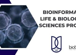 JNU Bioinformatics