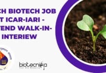 BTech Biotech Candidates Attend Walk-In at ICAR-IARI For YP Opportunity IARI BTech Biotech Job