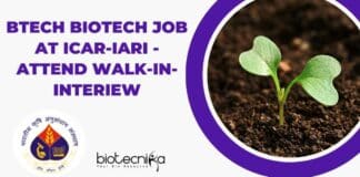 IARI BTech Biotech Job
