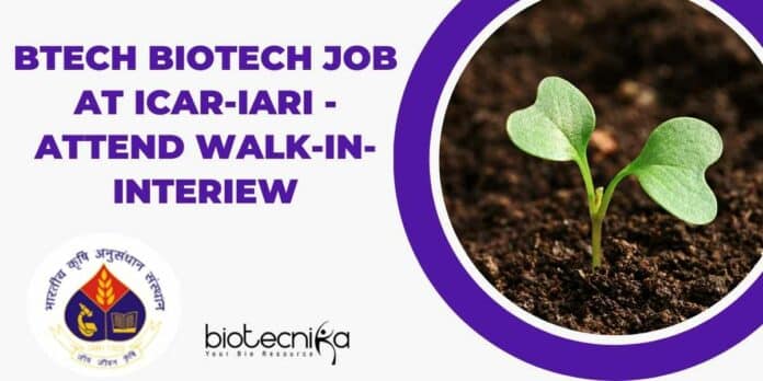 IARI BTech Biotech Job