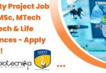 Amity Institute of Biotechnology (AIB) Project Job For MSc, MTech Biotech & Life Sciences AIB Amity Project