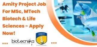 AIB Amity Project