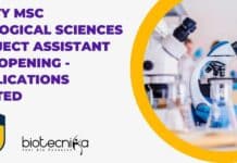 MSc Biological Sciences Project Job at Amity Institute of Click Chemistry Research and Studies Amity MSc Biological Sciences