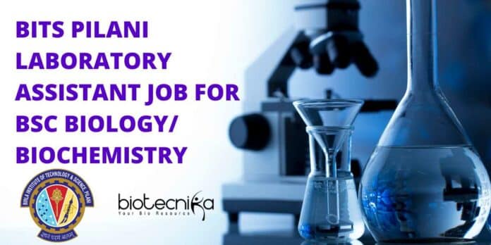 BITS Pilani Lab Assistant