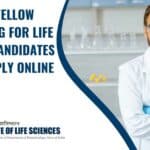 Research Fellow Job ILS