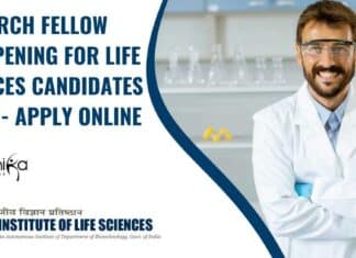 Research Fellow Job ILS