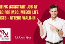 Scientific Assistant Job