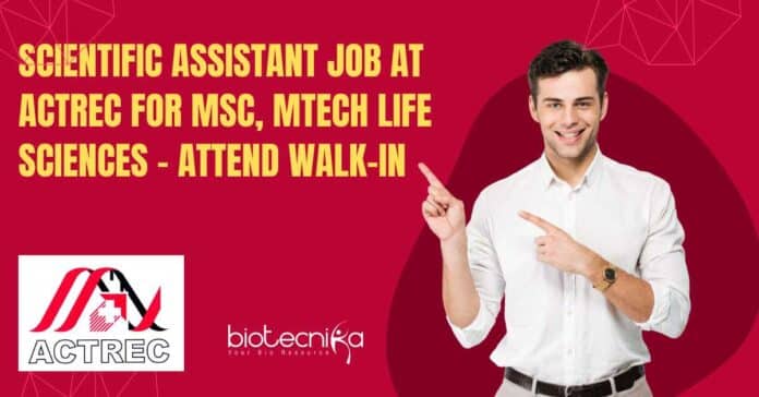 Scientific Assistant Job