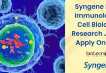 Syngene PhD Immunology, Cell Biology Research Job – Apply Online Syngene PhD Immunology