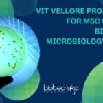 VIT Vellore Project Job