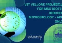 VIT Vellore Project Job For MSc Biotech, Biochem & Microbiology – Apply Online VIT Vellore Project Job
