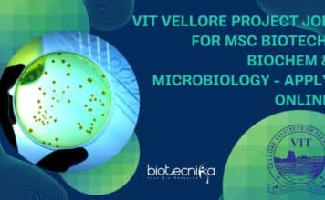 VIT Vellore Project Job