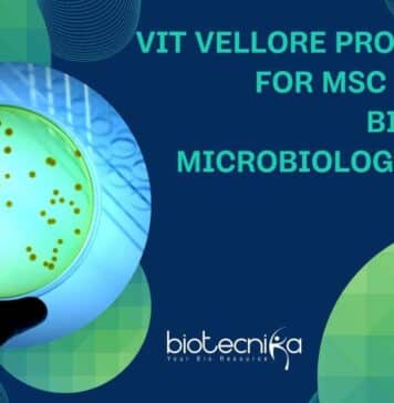 VIT Vellore Project Job