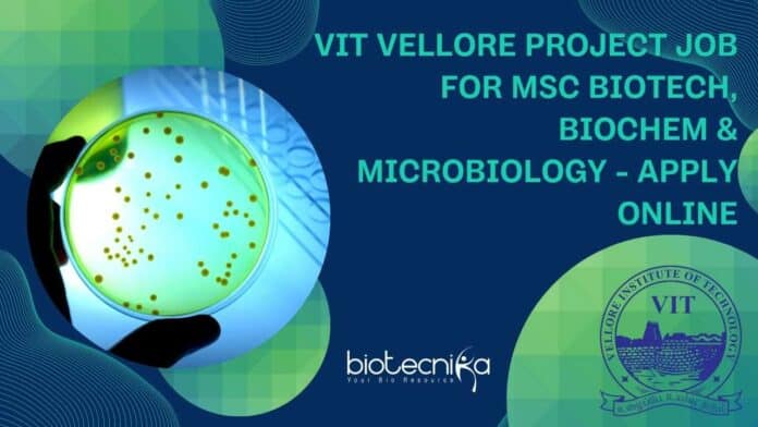 VIT Vellore Project Job