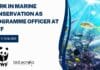 Work in Marine Conservation As Programme Officer at WWF, Apply Online WWF India Job Openings
