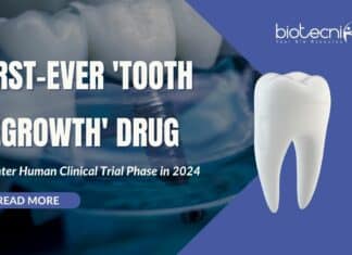 First-Ever Tooth Regrowth Drug
