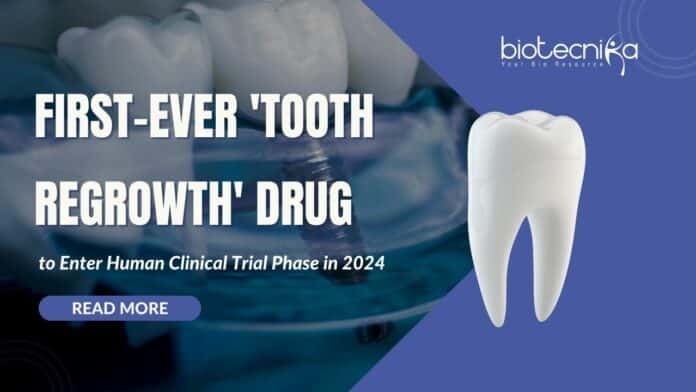 First-Ever Tooth Regrowth Drug