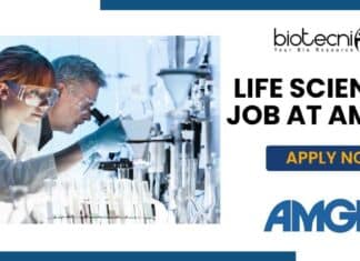 Amgen Life Sciences Job