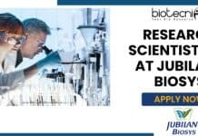 Research Scientist Job at Jubilant Biosys – Biophysics, Biochem Apply Research Scientist Job Jubilant Biosys - Biophysics, Biochem Apply