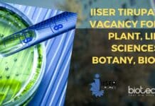 IISER Tirupati JRF Vacancy For MSc Plant, Life Sciences, Botany, Biotech IISER Tirupati JRF Vacancy